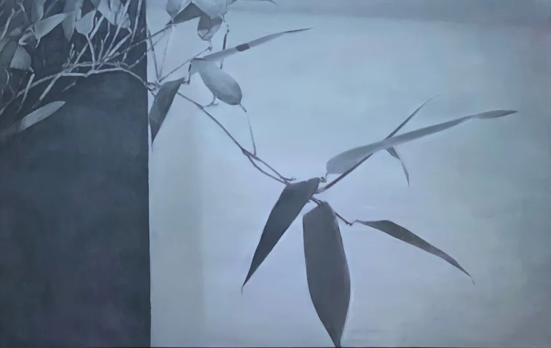 c7娱乐