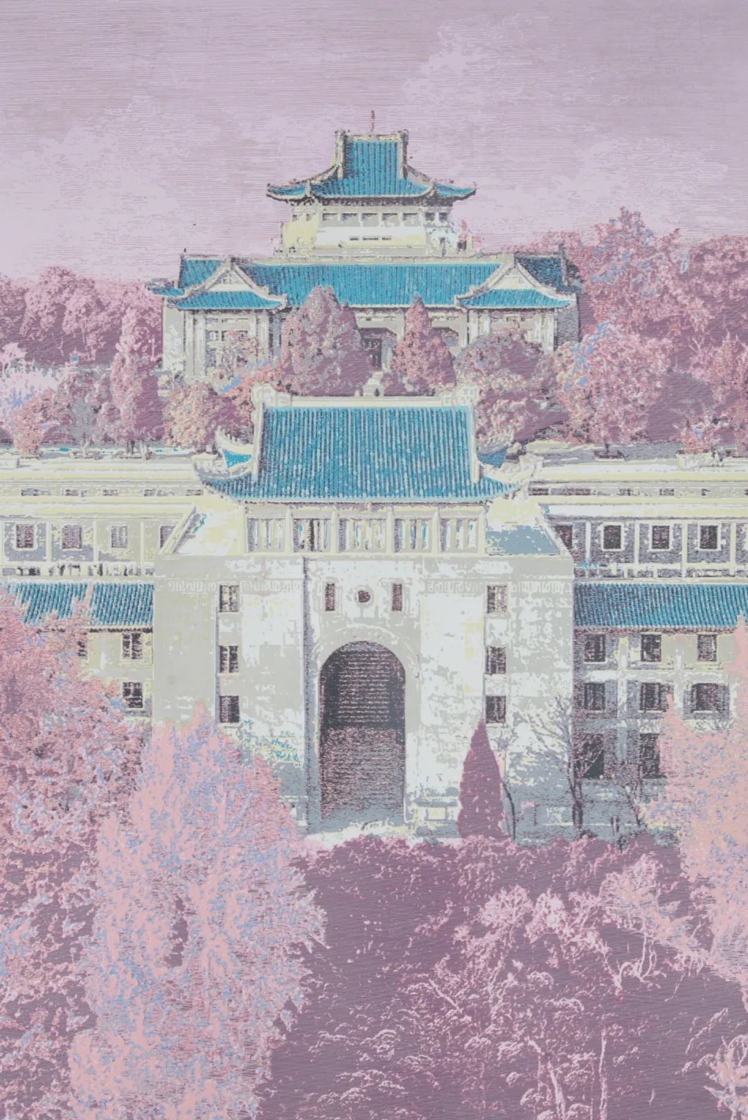 c7娱乐