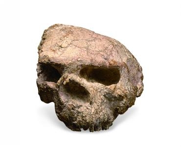 WPS图片(1).jpeg c7娱乐